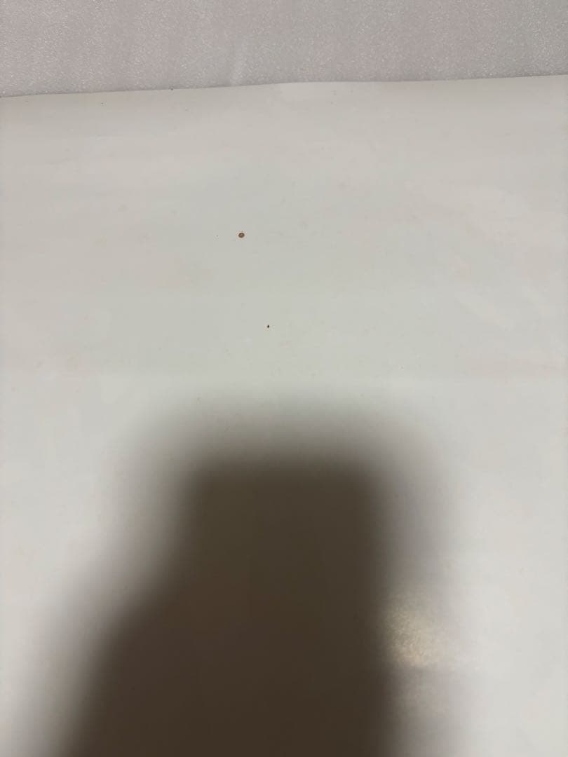 PS2ペルソナ3 、フェス ペルソナ3 ドラマCD 非売品　特典　ポスター３枚