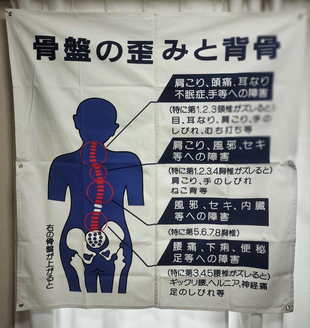 人体神経系統図 パネル３枚と整体幕