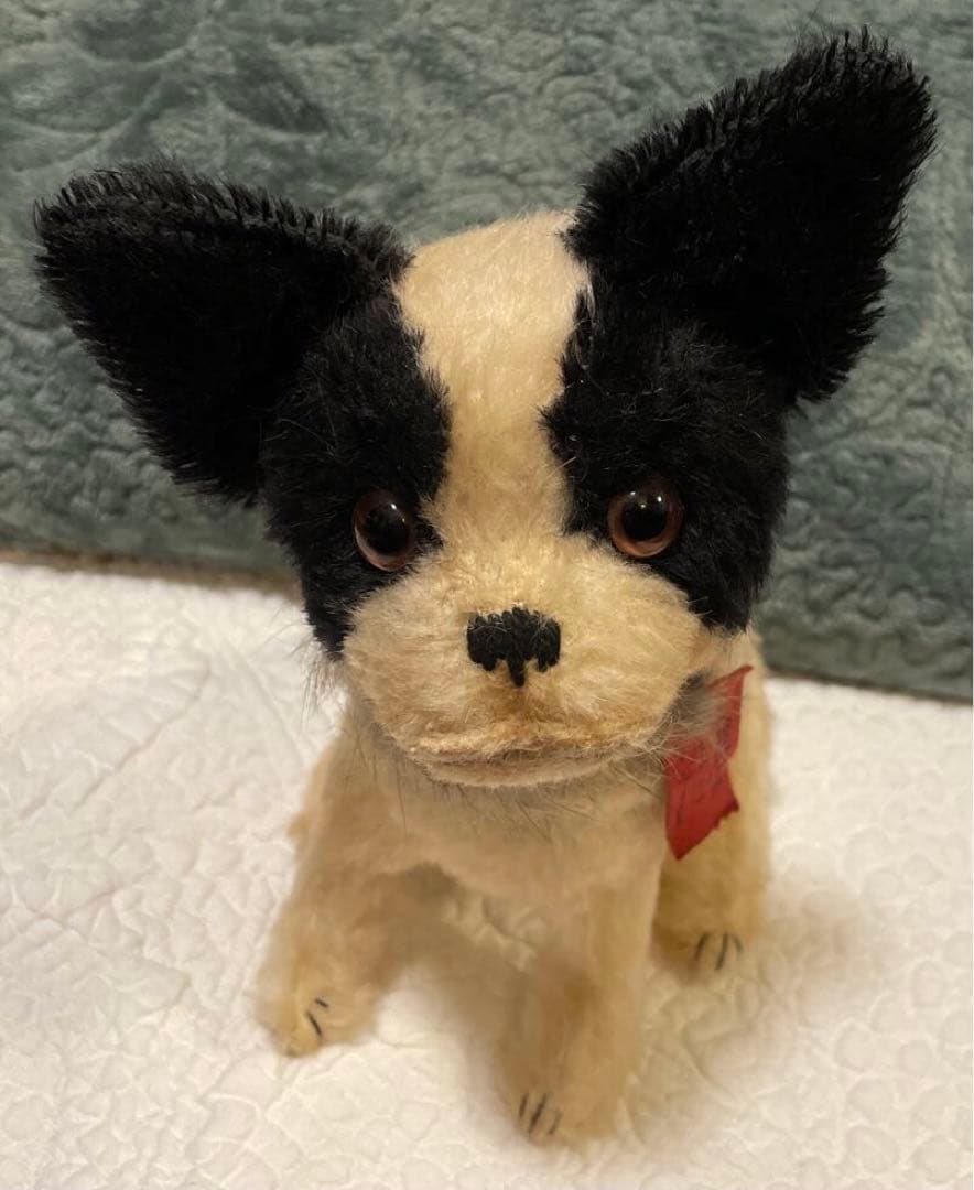 KEITA BEAR さんの犬のぬいぐるみ　ケイタベア