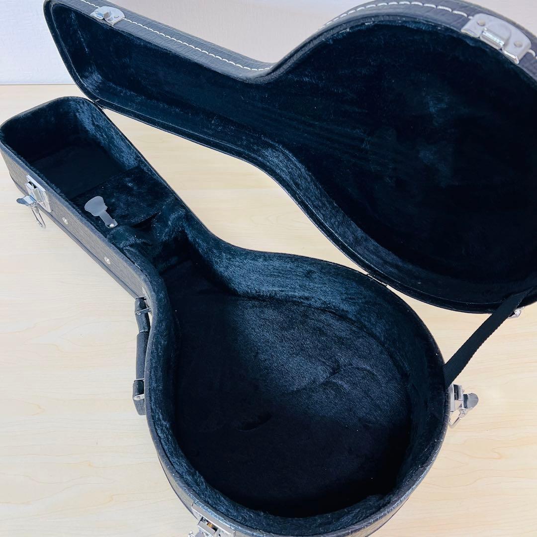 ARIA AM-20 マンドリン 8弦 ハードケース付