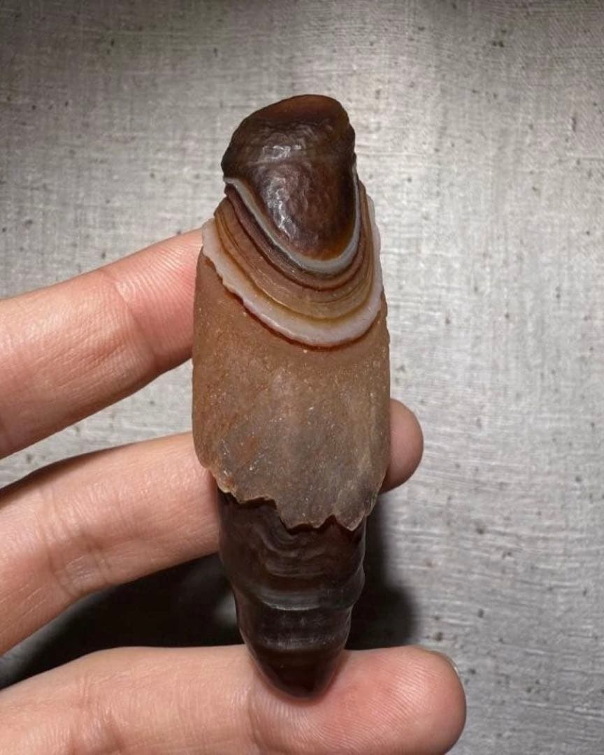 アラシャンゴビアゲート　蒙古瑪瑙　原石　水石　翡翠　オパール　根付　天珠 勾玉