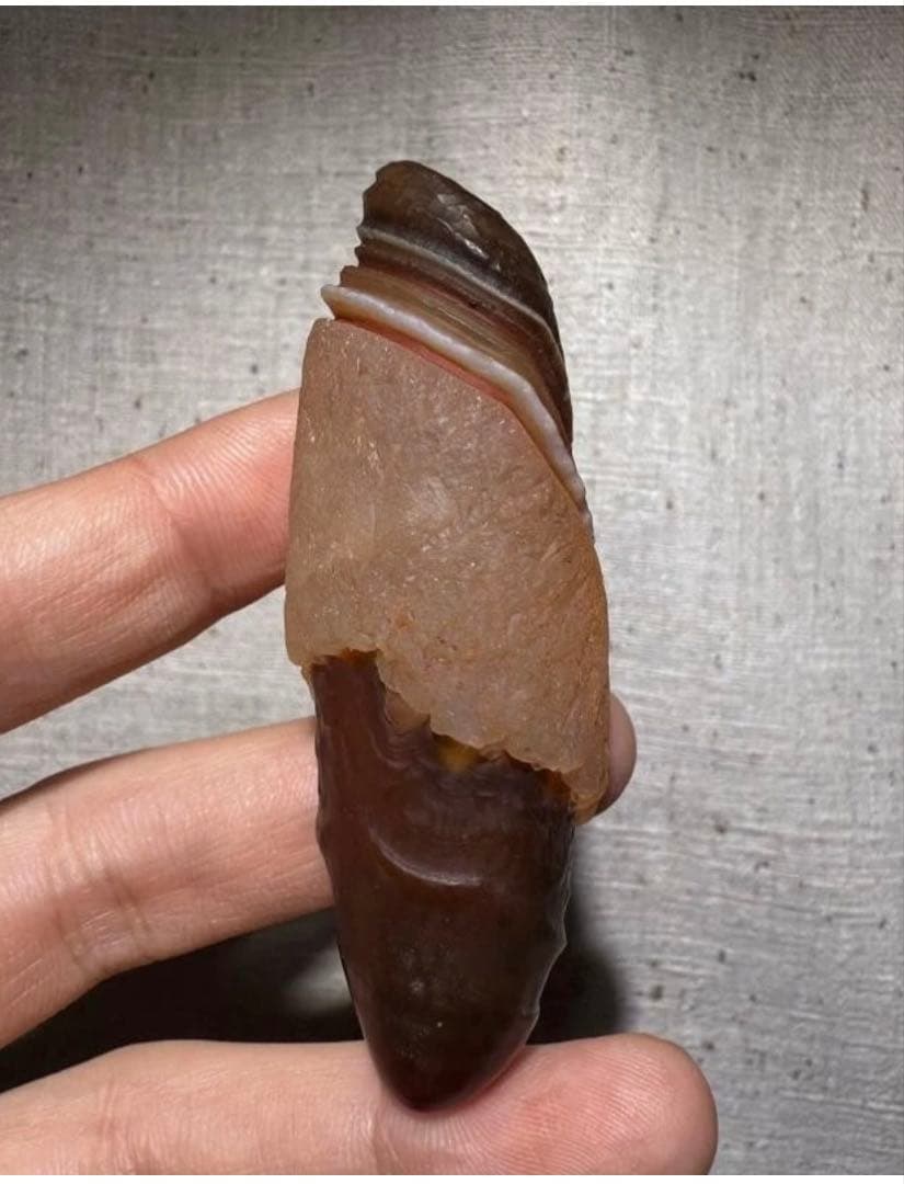 アラシャンゴビアゲート　蒙古瑪瑙　原石　水石　翡翠　オパール　根付　天珠 勾玉