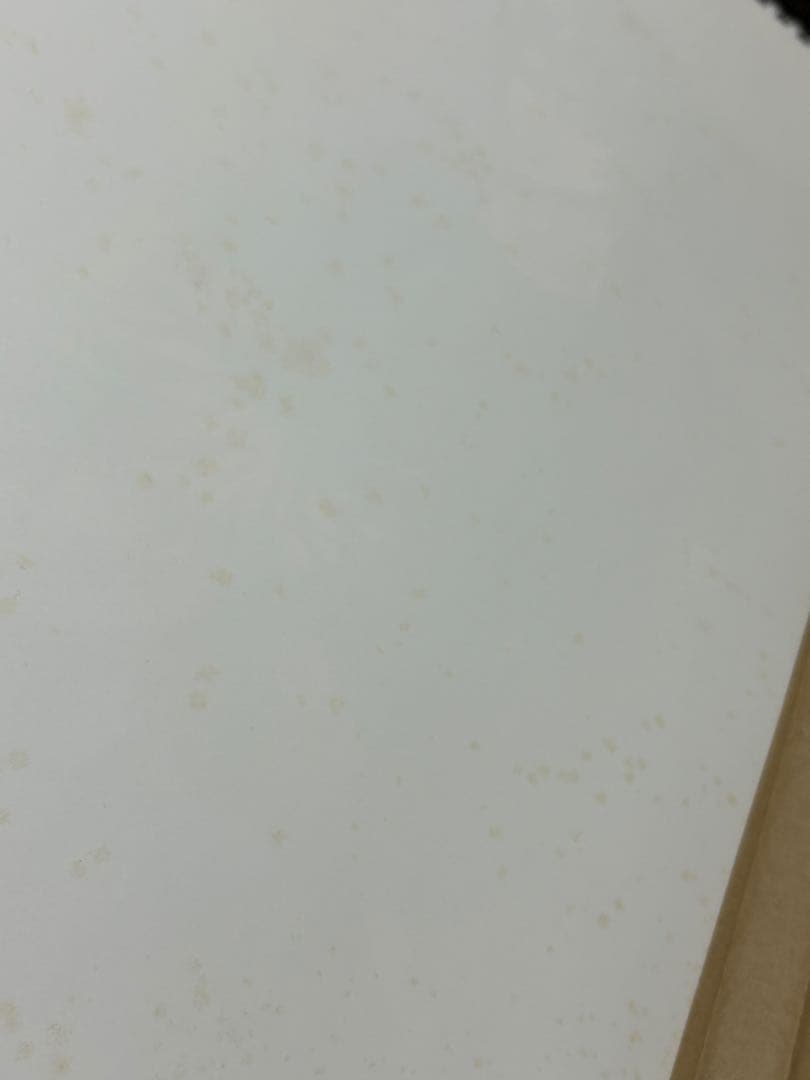 家庭教師ヒットマンREBORN！ カレンダー ポスター ボンゴレリング