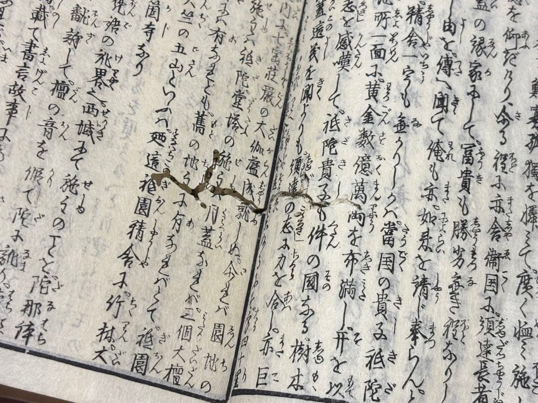 「八宗起源 釈迦実録」鈴亭谷峩訳 橋本玉蘭画 明治16年刊 揃5冊|和本 浮世絵