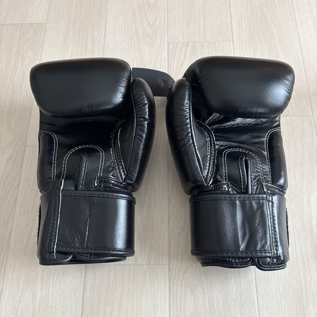 フェアトレックス fairtex ボクシンググローブ 16oz BGV1 正規品