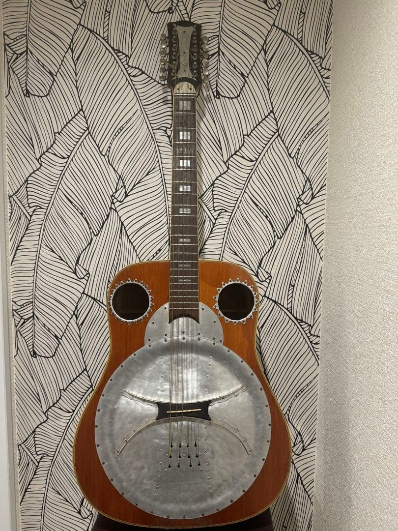 カスタマイズ アコースティックギター Eko Ranger XII