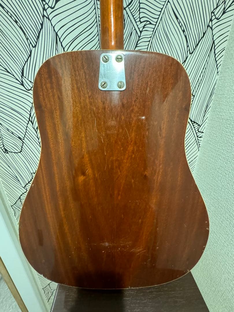 カスタマイズ アコースティックギター Eko Ranger XII