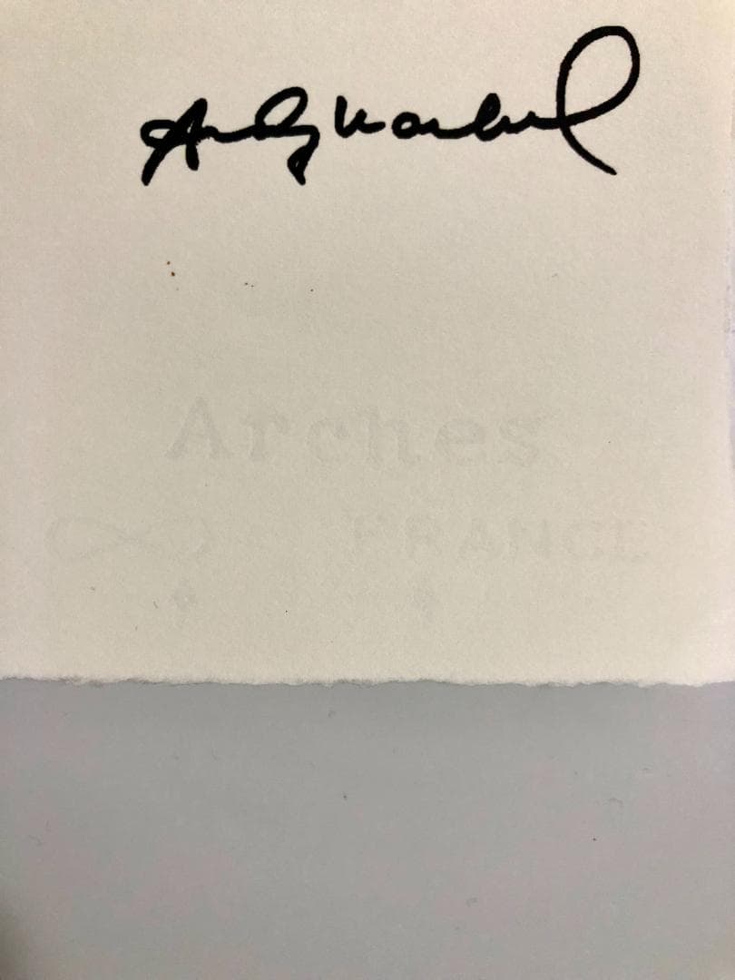 【模写】【限定100部・証明書付】Andy Warhol「Sam（グリーン）」