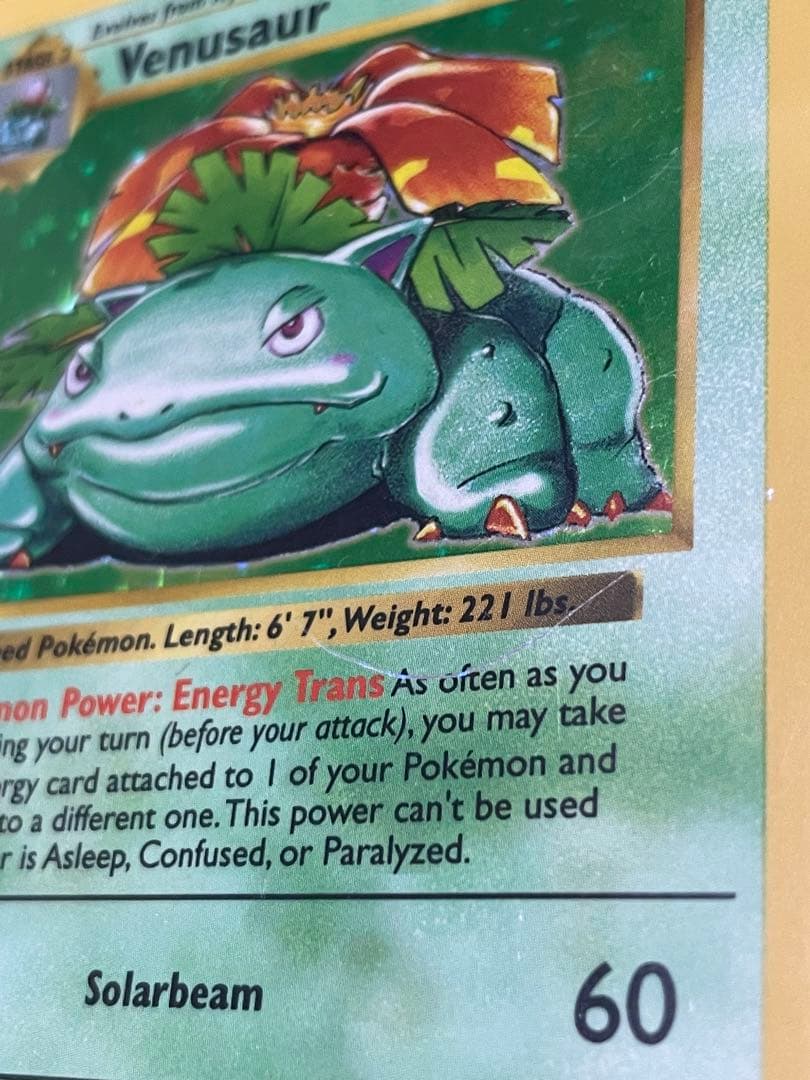 フシギバナ 英語版 旧裏 Venusaur shadow less