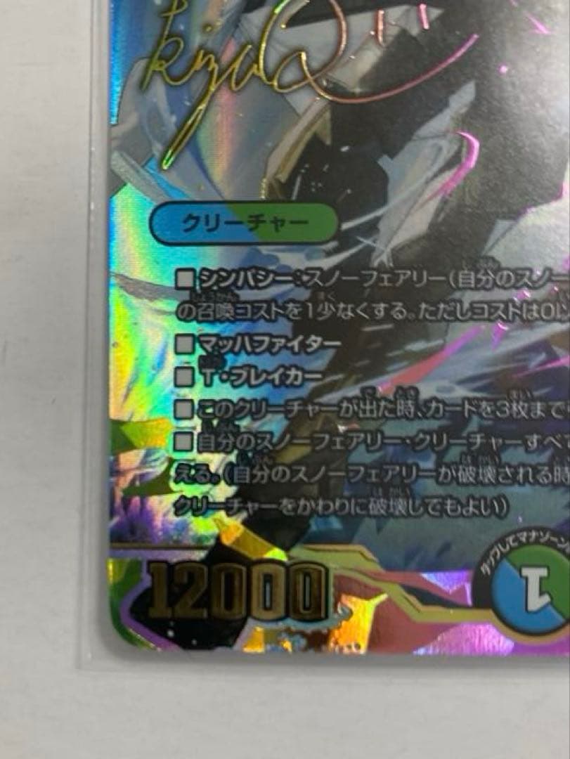 デュエルマスターズ 守護地龍 ザノウハウ サイン入り 社築