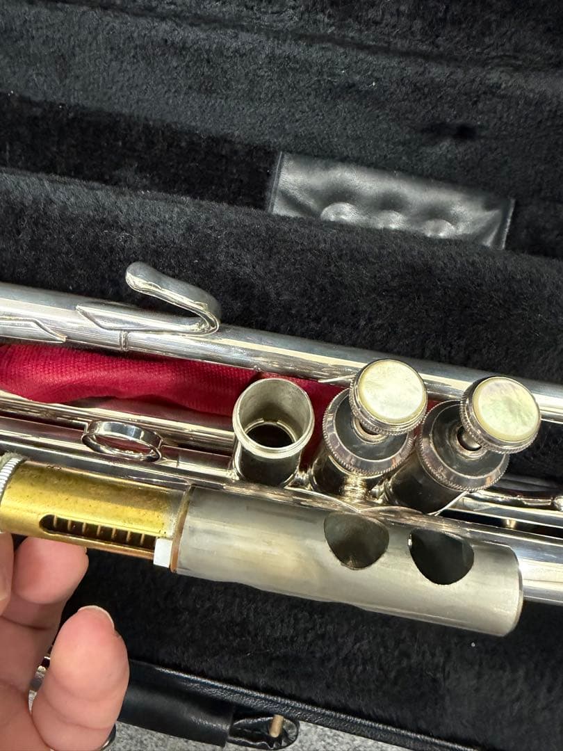 ぽぽちゃん バックトランペット