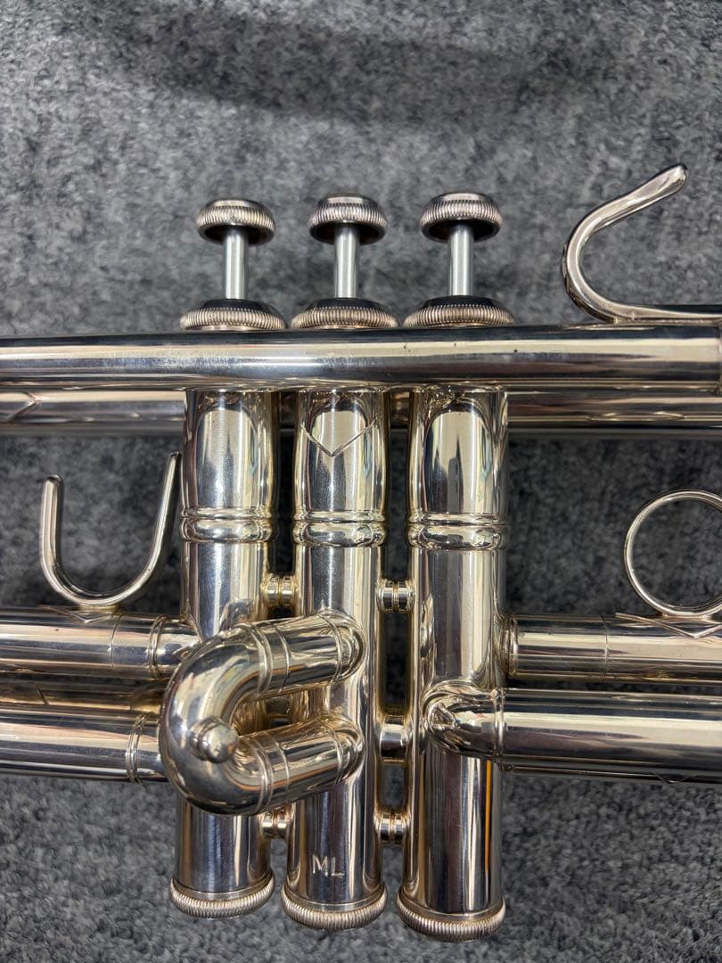 ぽぽちゃん バックトランペット