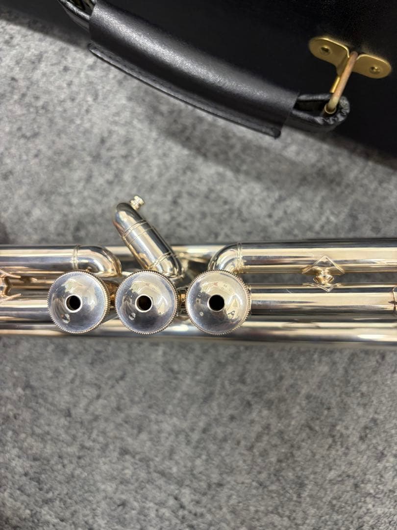 ぽぽちゃん バックトランペット