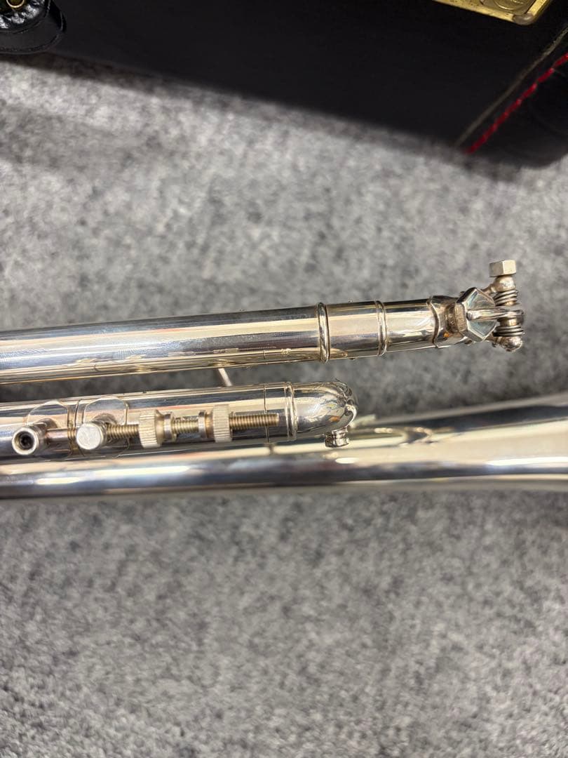 ぽぽちゃん バックトランペット