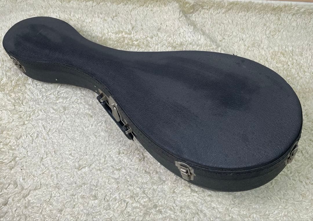 Suzuki M-210 Mandolin スズキ マンドリン　ハードケース付き