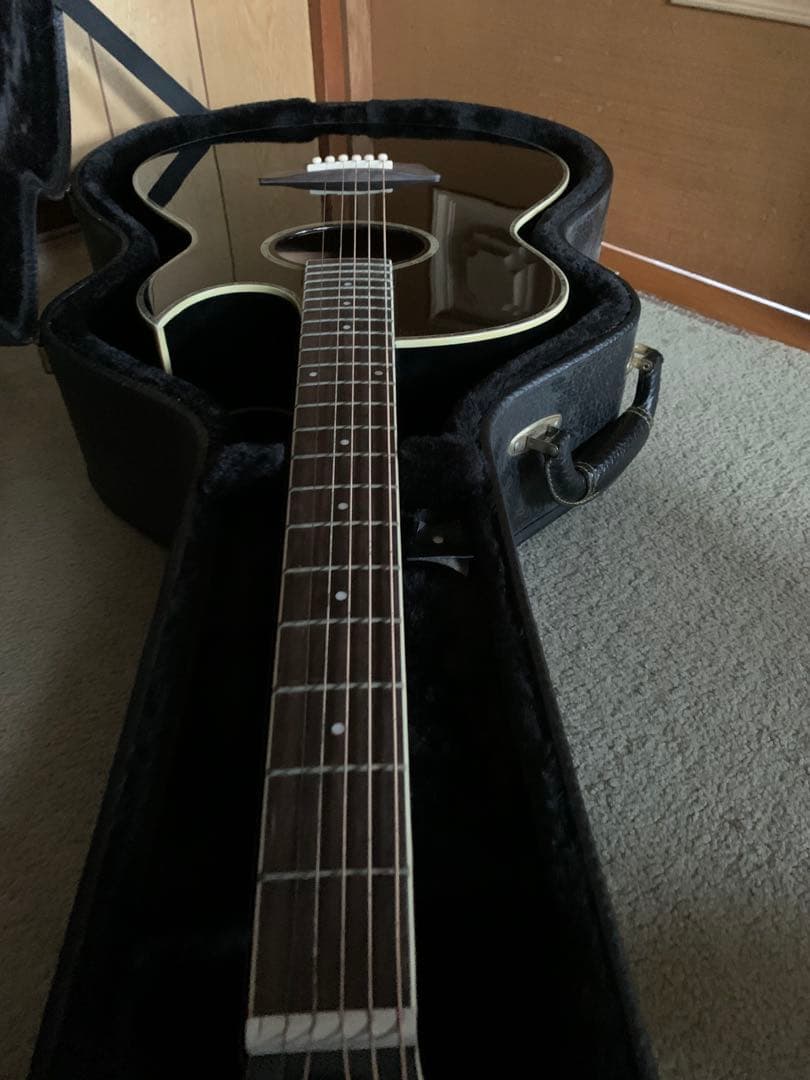 washburn/ワッシャバーン エレアコ ヌーノベッテンコート