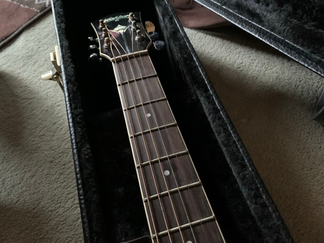 washburn/ワッシャバーン エレアコ ヌーノベッテンコート