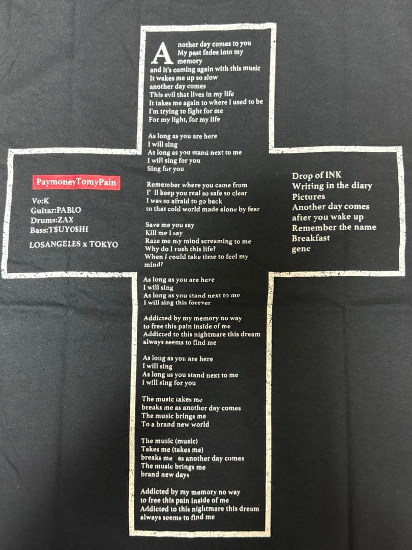 PTP PaymoneyTomyPain Tシャツ M