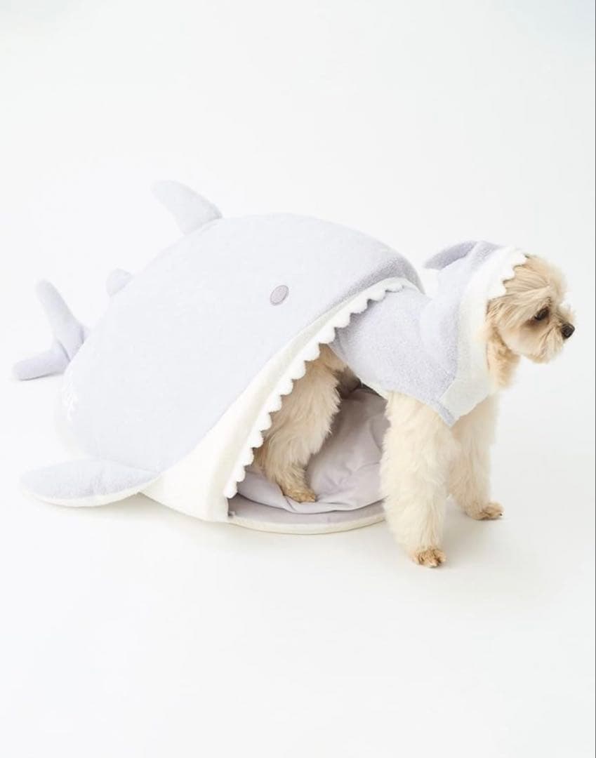 ジェラートピケ キャットアンドドッグ　CAT&DOG スムーズィーシャークハウス