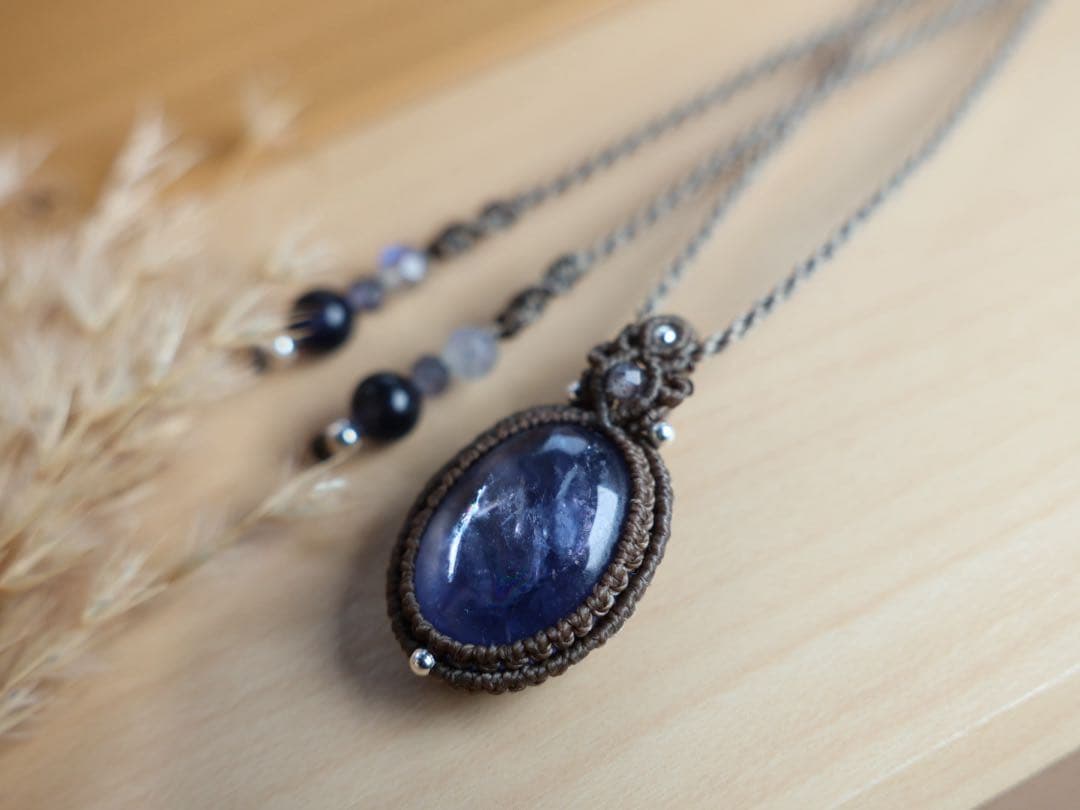 でんちゃん 9/27