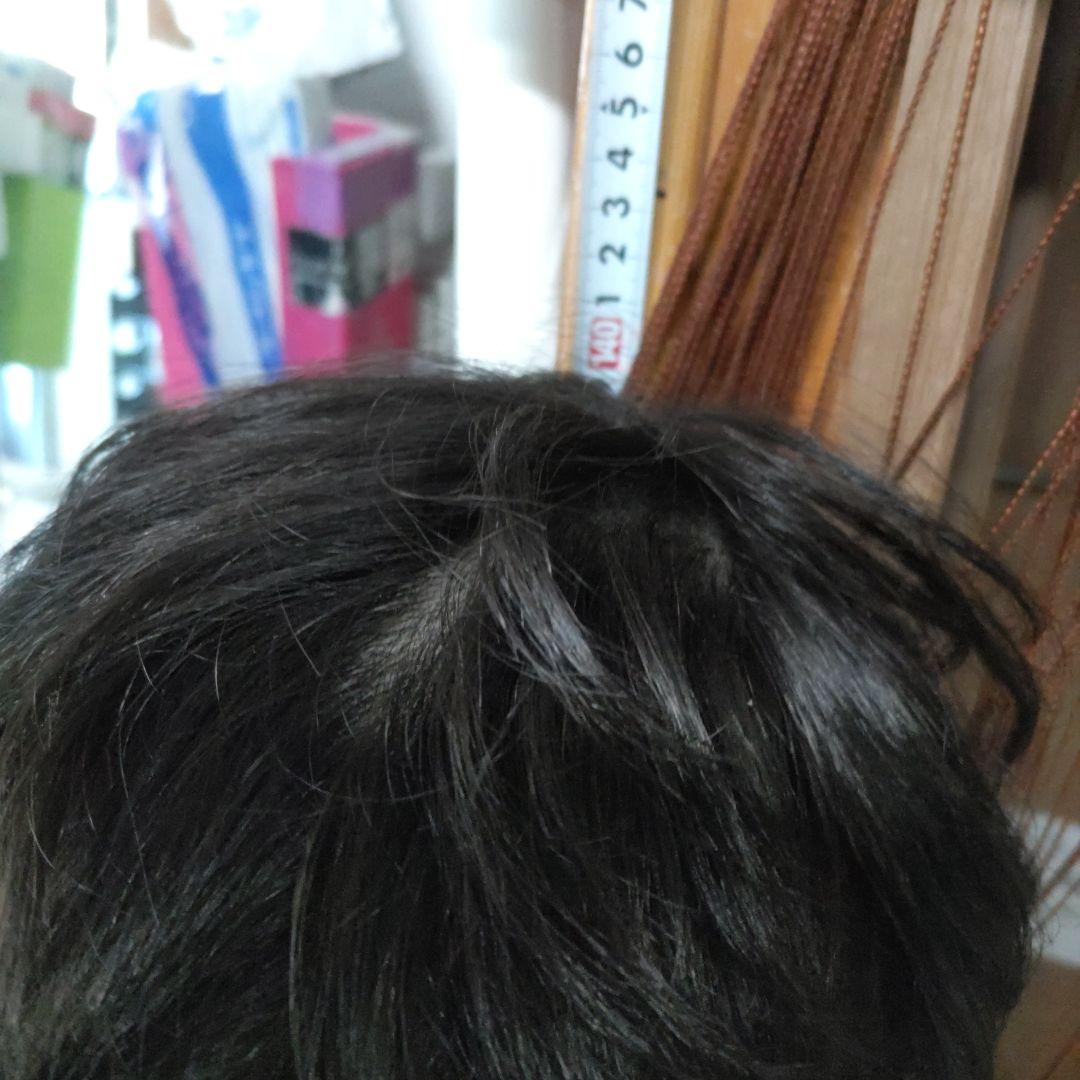 【激レア】劇団★新感線の小道具　オオカミ（LOST SEVEN　1999年公演）