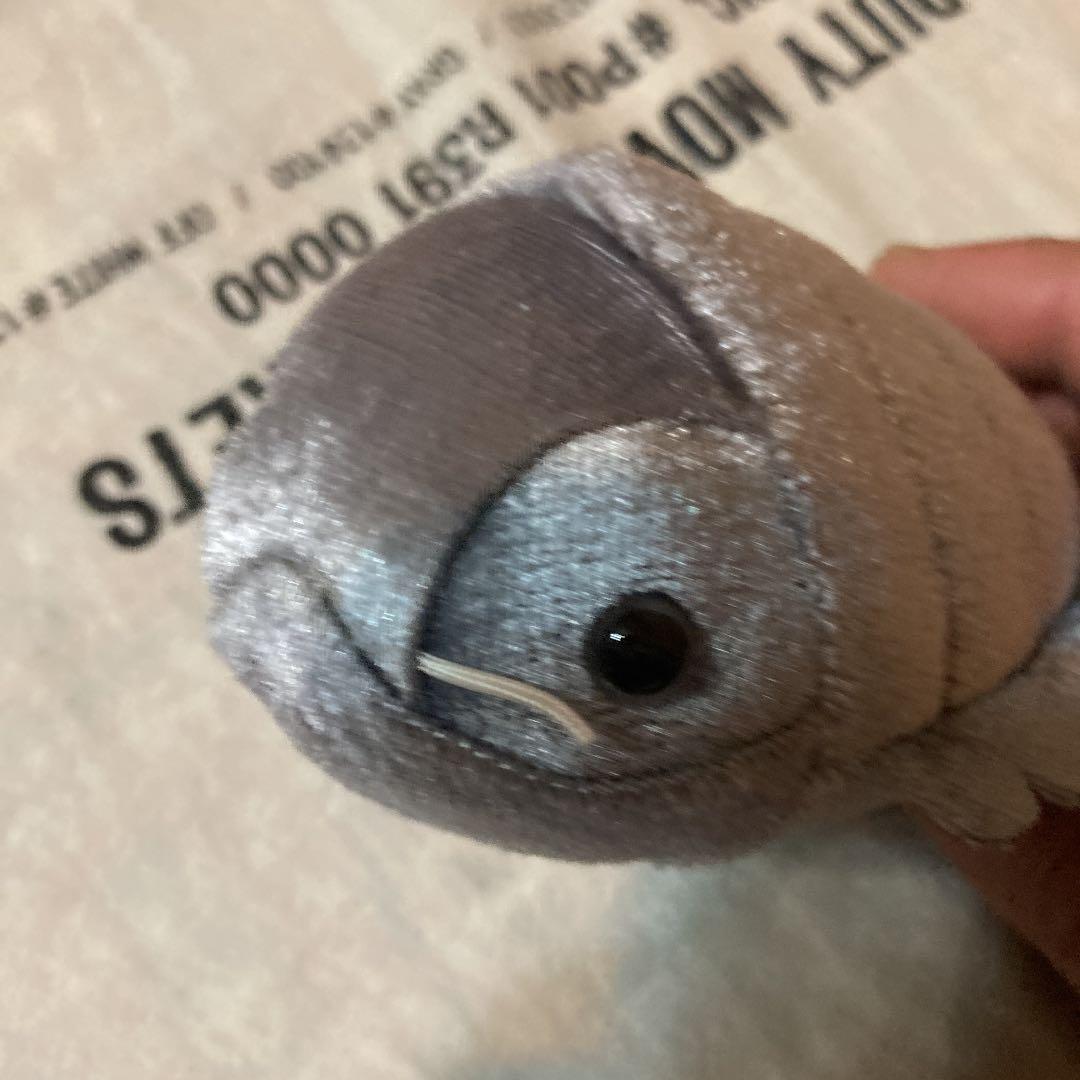 きらりんぱーく　オオグソクムシ　シルバー　可愛い