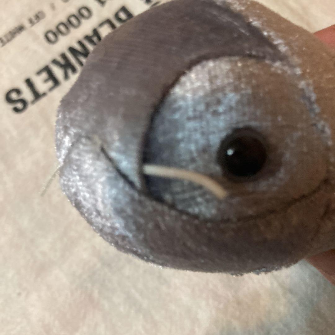 きらりんぱーく　オオグソクムシ　シルバー　可愛い