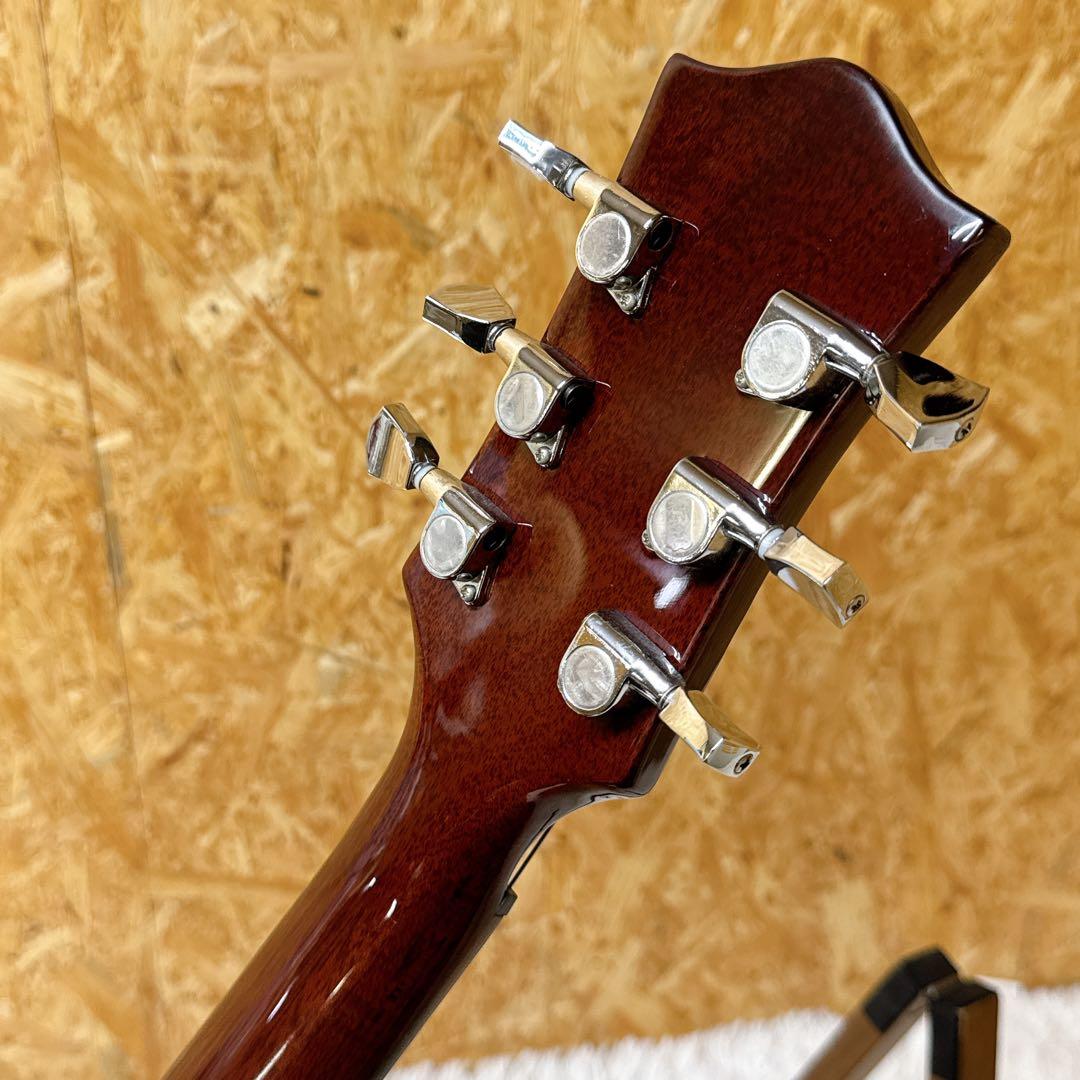 Playtech/プレイテック LP-500 Premium ホロウボディP90