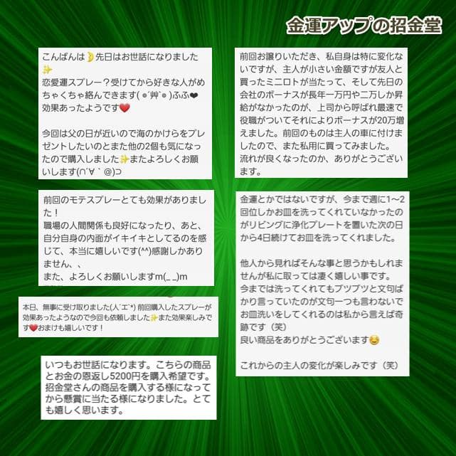 スペシャル『金運招財進寳』×金運万倍波動玉×浄化スプレー50×大金運うし×布袋尊