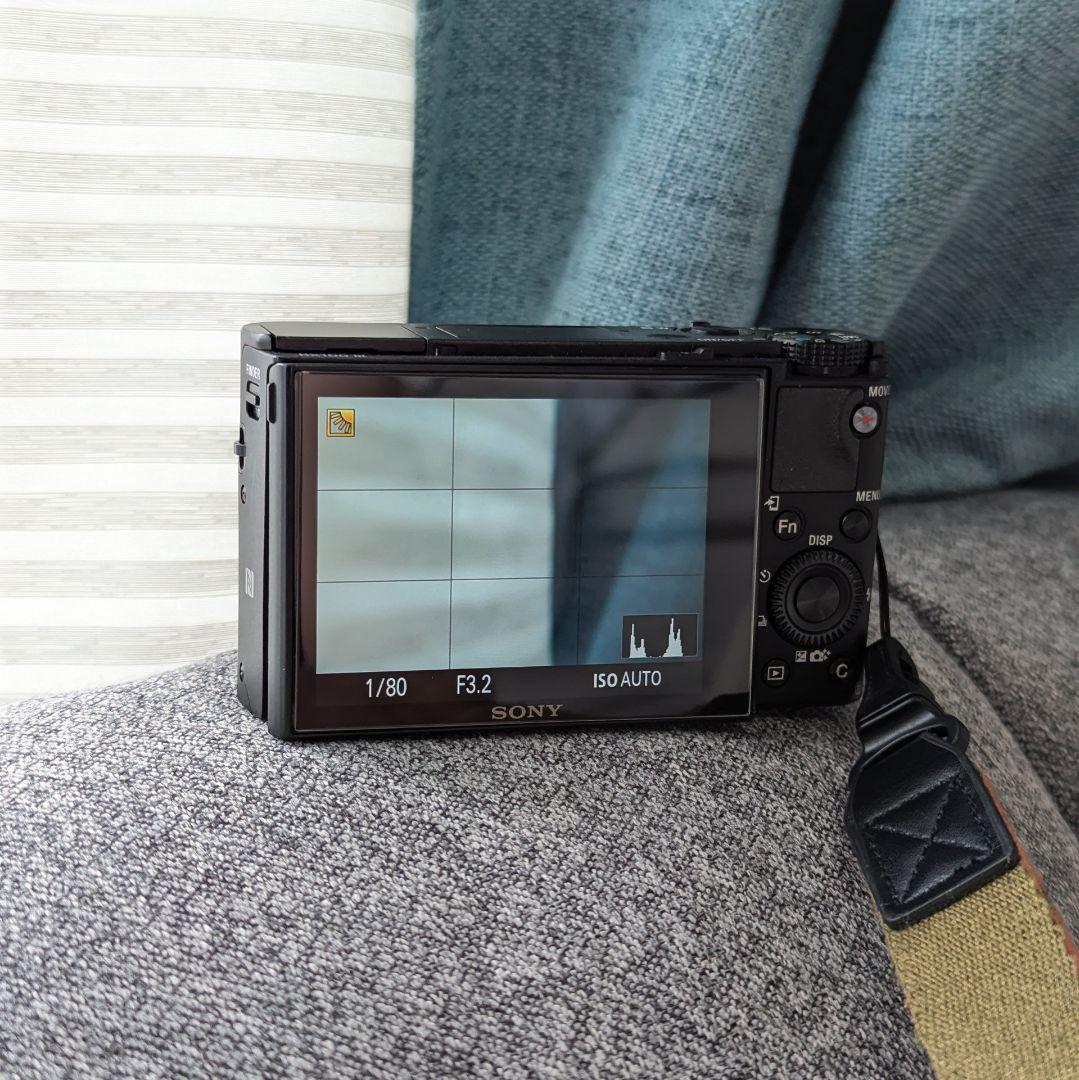 ソニー サイバーショット DSC-RX100M3 留意事項あり