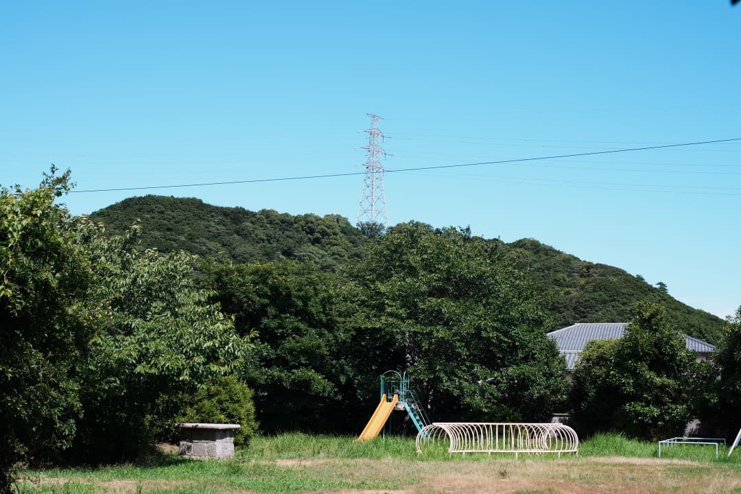 【極美品】Carl Zeiss Planar 50mm F1.4 MMJ 261