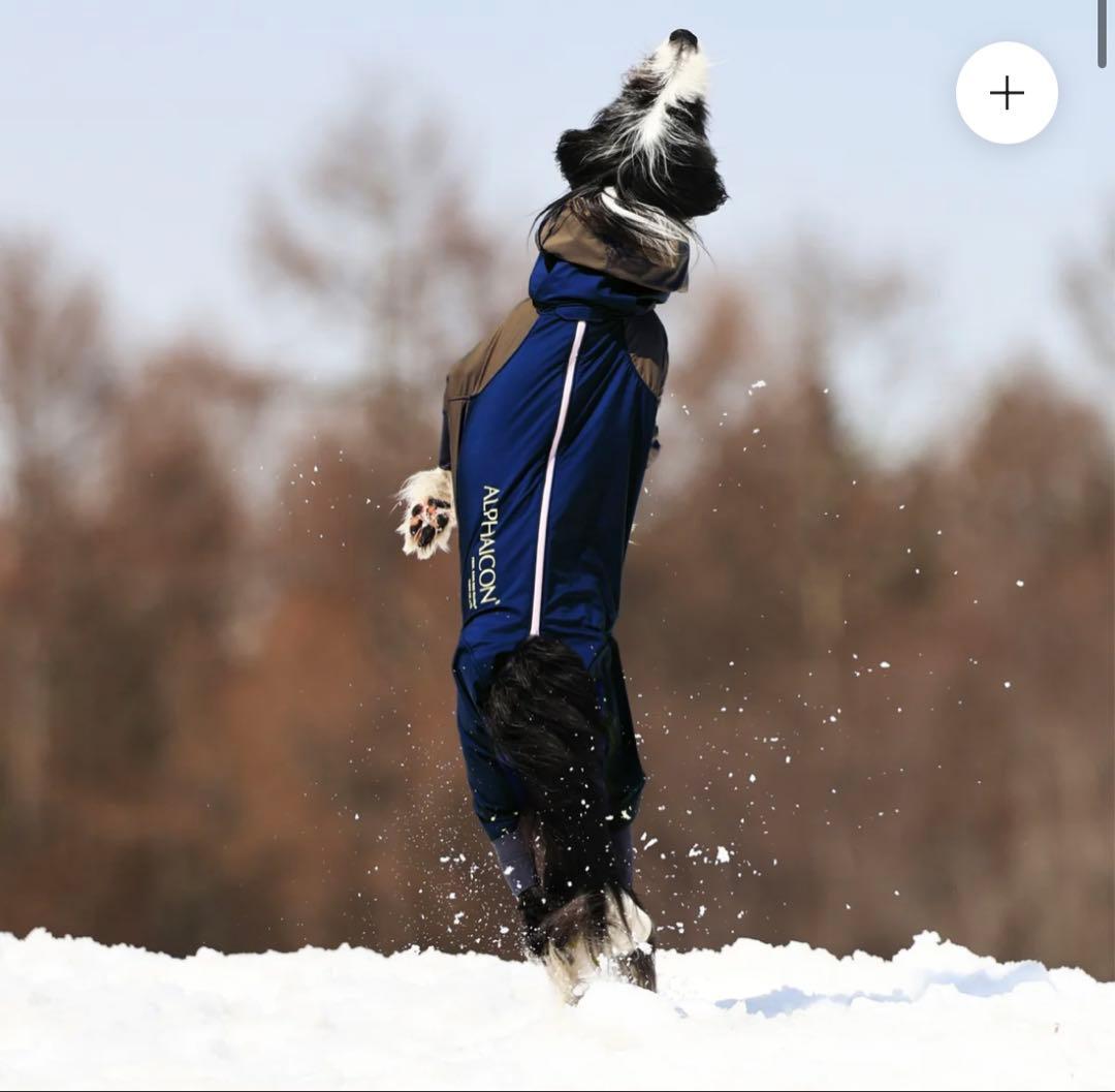 M*！様 2025新作 ALPHAICON  DOG GUARD M