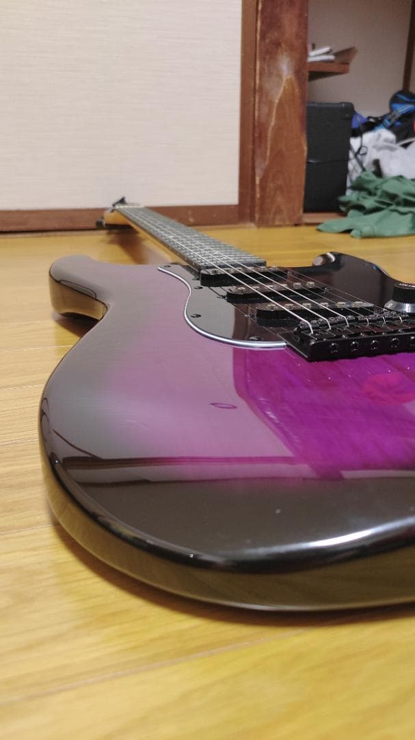 Selder エレキギター (8点セット)