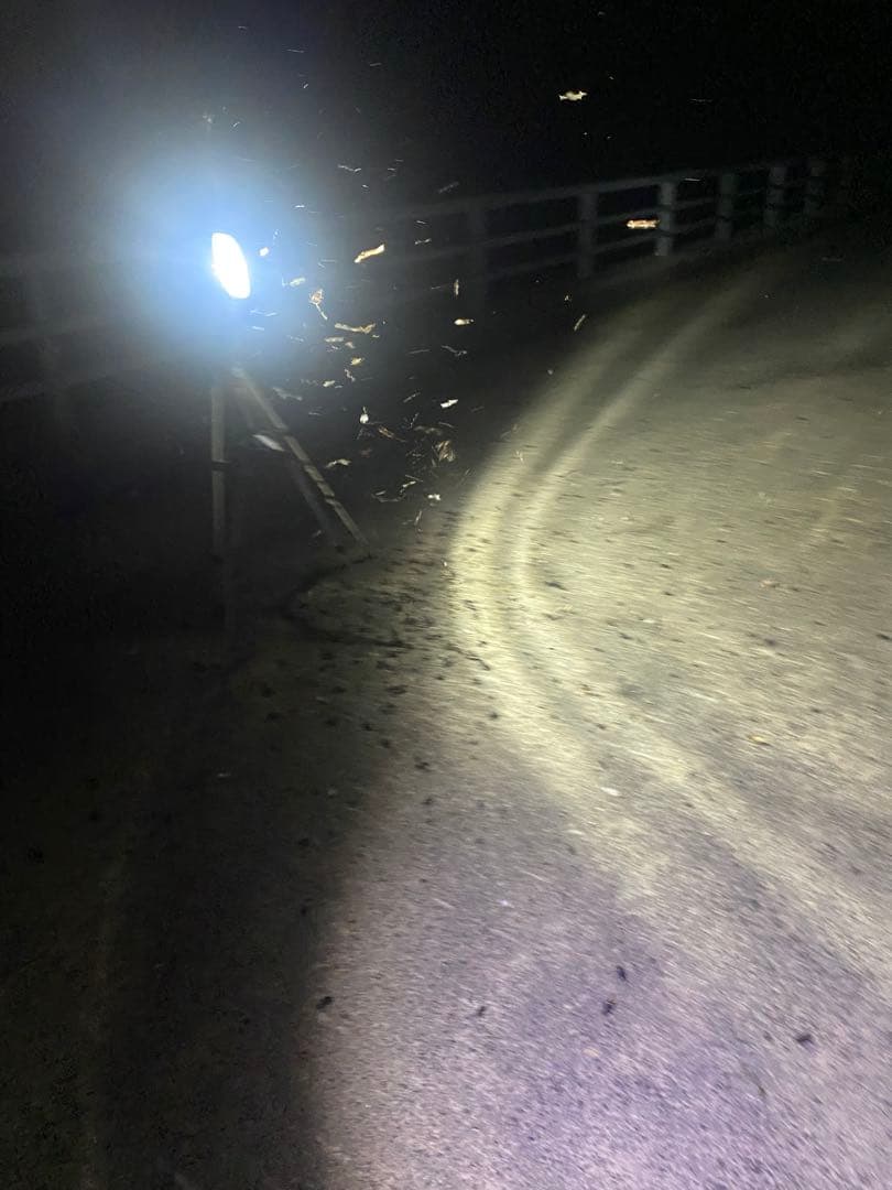 HID ライトトラップ　70W