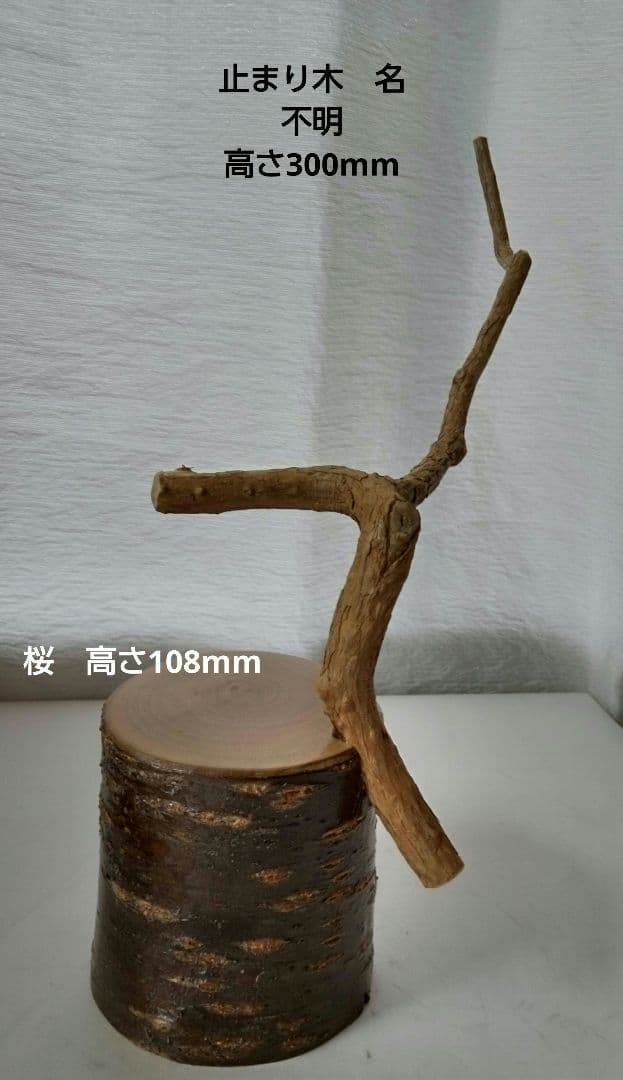 バードカービング　シジュカラ　オス、メス