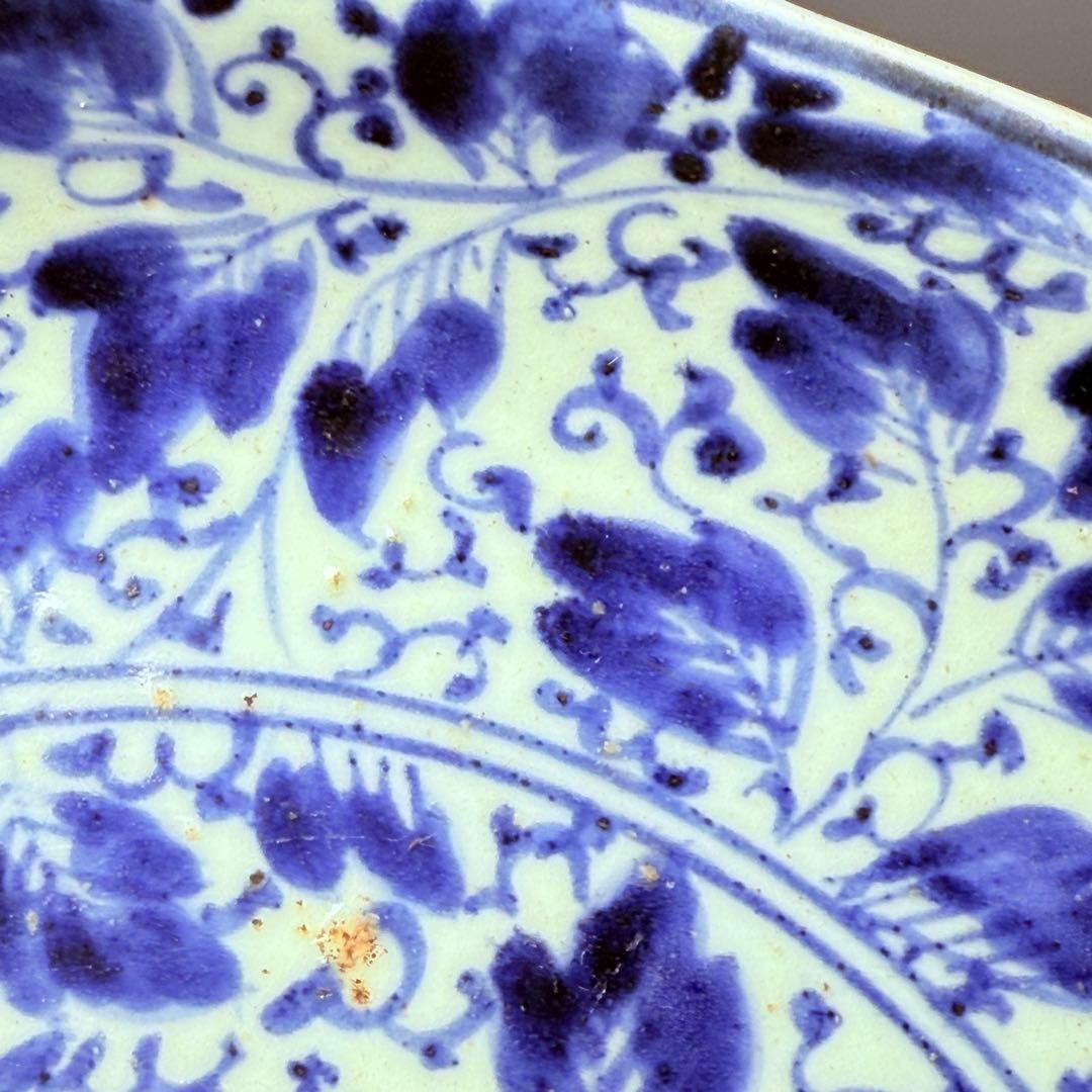 江戸後期　藍柿右衛門　「染付花草文様八寸皿」　渦福　博物館級　状態良し