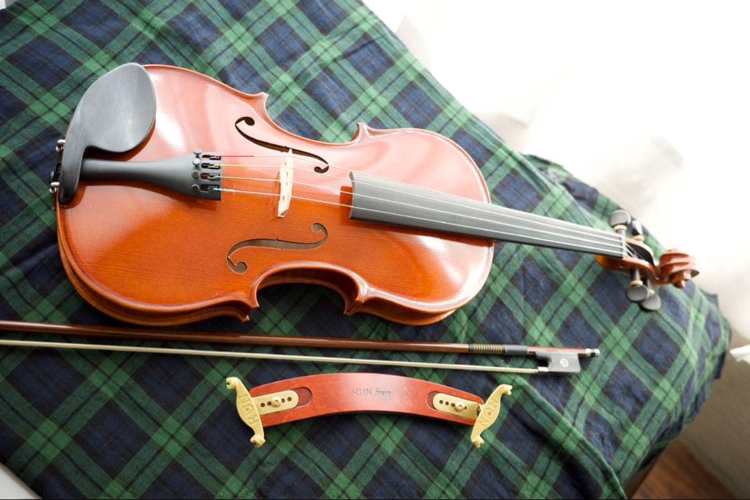 【美品】ローデリヒ・ペゾルト PA703（40.5cm） ビオラセット