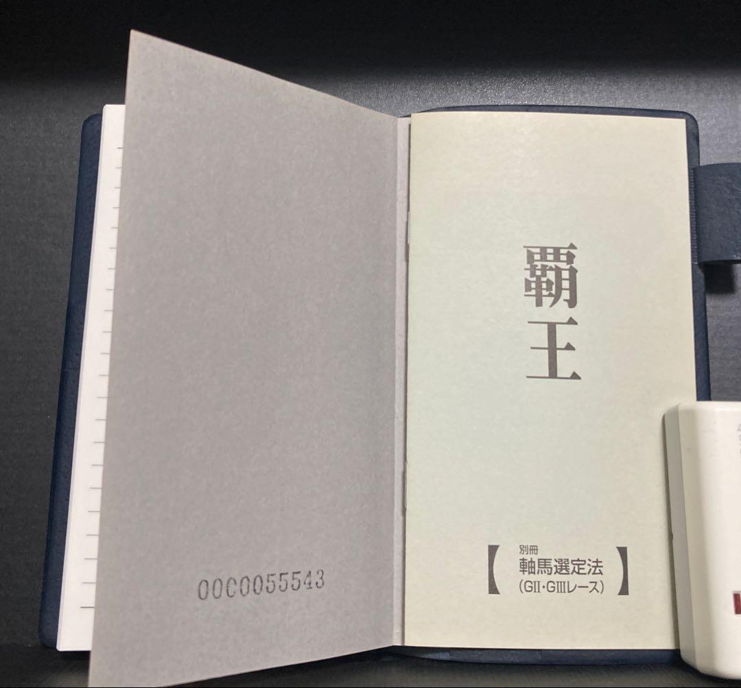 【超レア】競馬必勝法本 覇王　発売元開成堂　定価8万円
