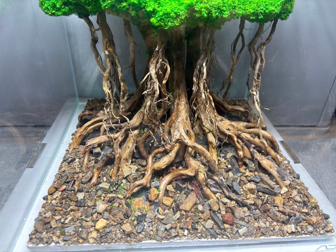 人工盆栽流木　アクアリウム