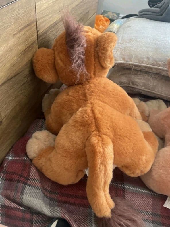 ディズニー【ライオンキング】ぬいぐるみ　コブとキアラ　14インチ