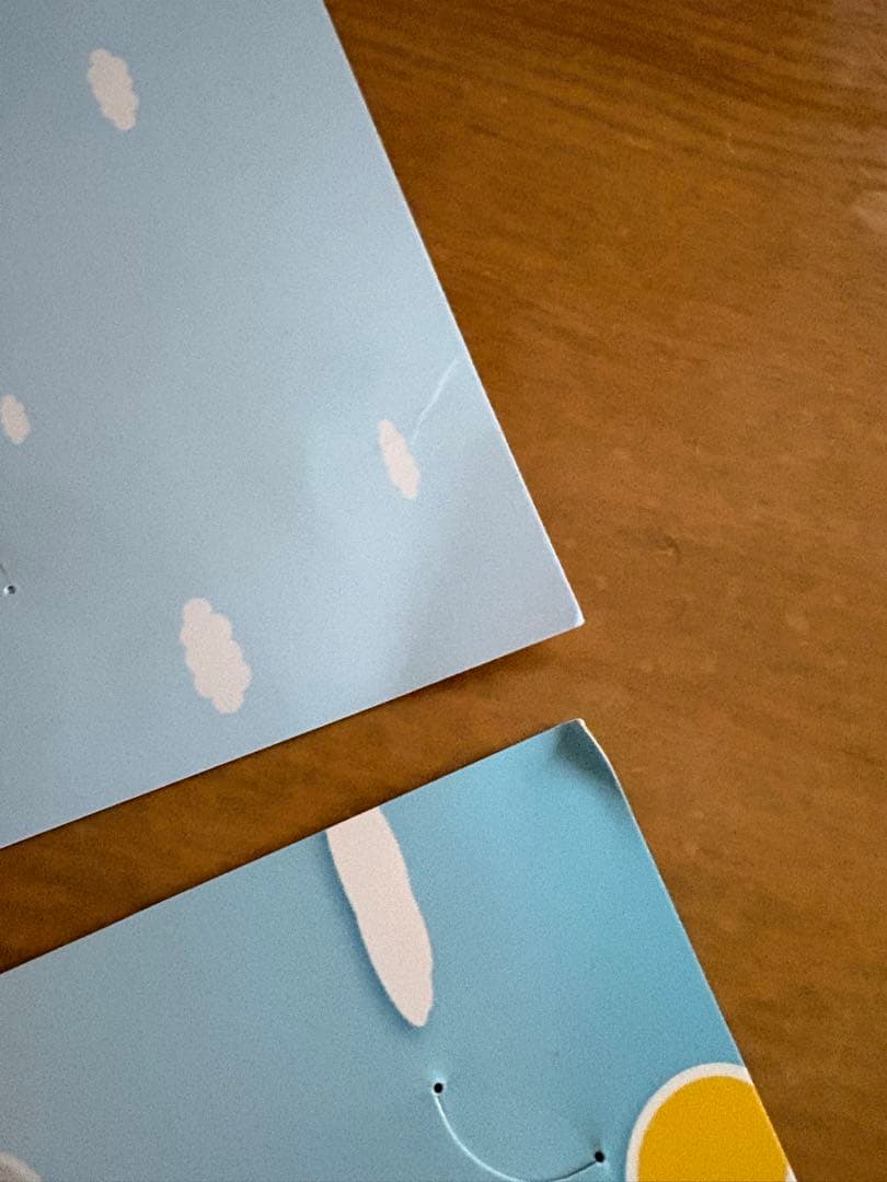 TOICA manaca 相互利用 セット 限定