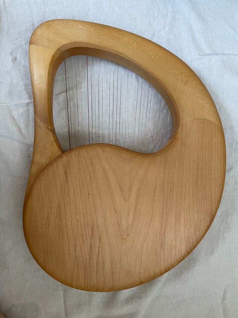 ザーレムライアー　SALEM 27弦