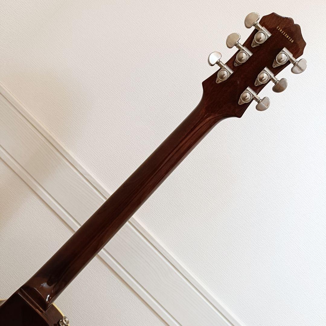 虎杢トップ｜Epiphone Les Paul Standard ハニーバースト