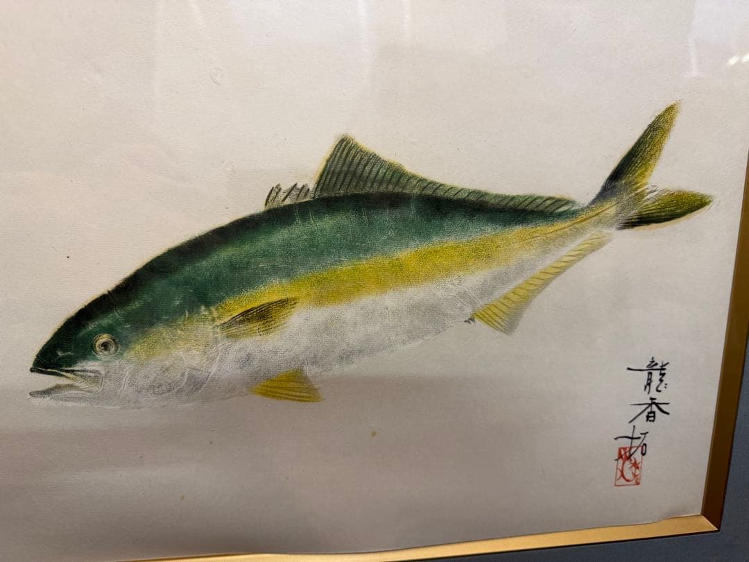 山本龍香　龍香拓　ブリ　鰤　魚の絵 水彩画 木製フレーム