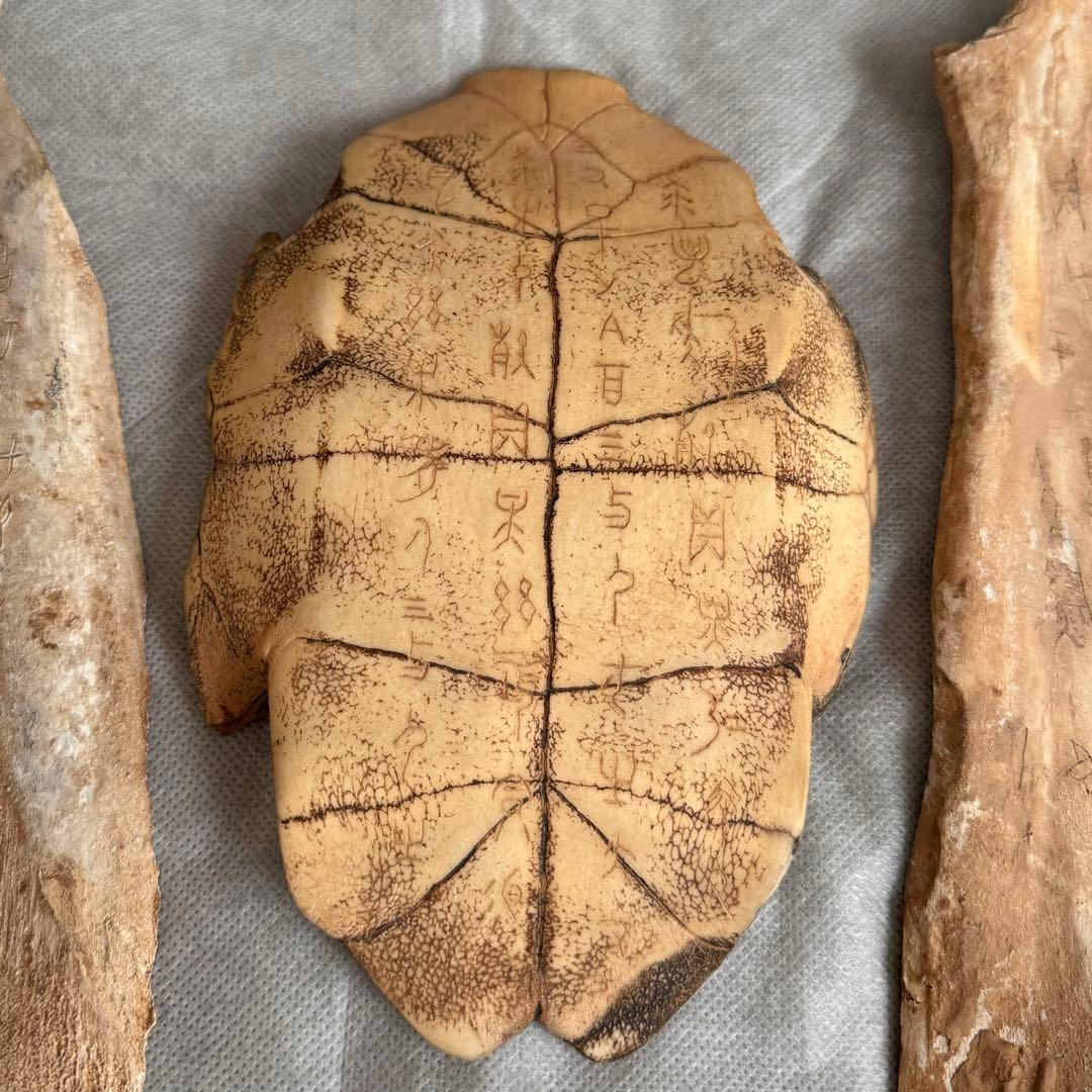 甲骨文字 中国 彫刻 古代文字 資料 時代物 アンティーク 計403g 3個