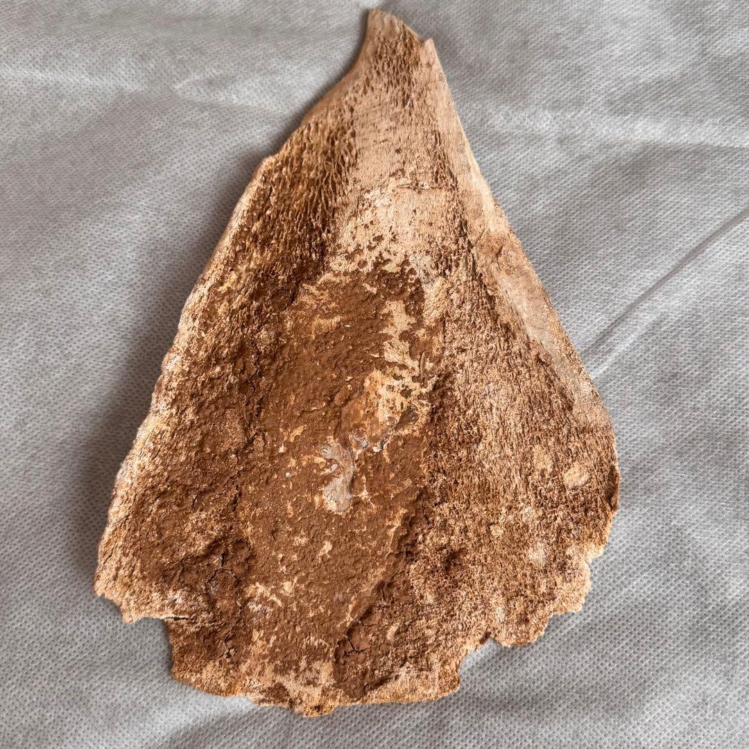 甲骨文字 中国 彫刻 古代文字 資料 時代物 アンティーク 計403g 3個