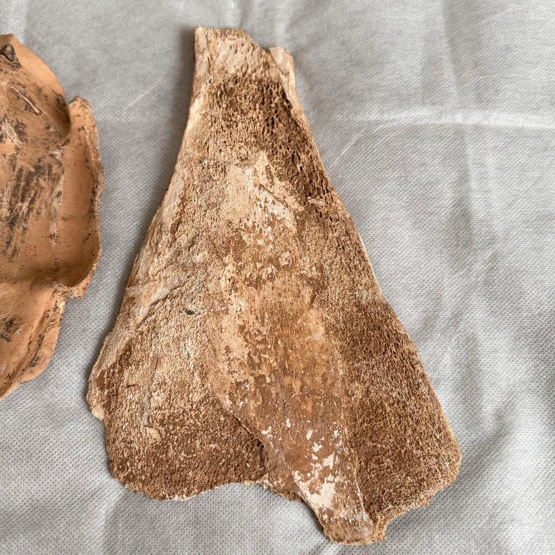 甲骨文字 中国 彫刻 古代文字 資料 時代物 アンティーク 計403g 3個