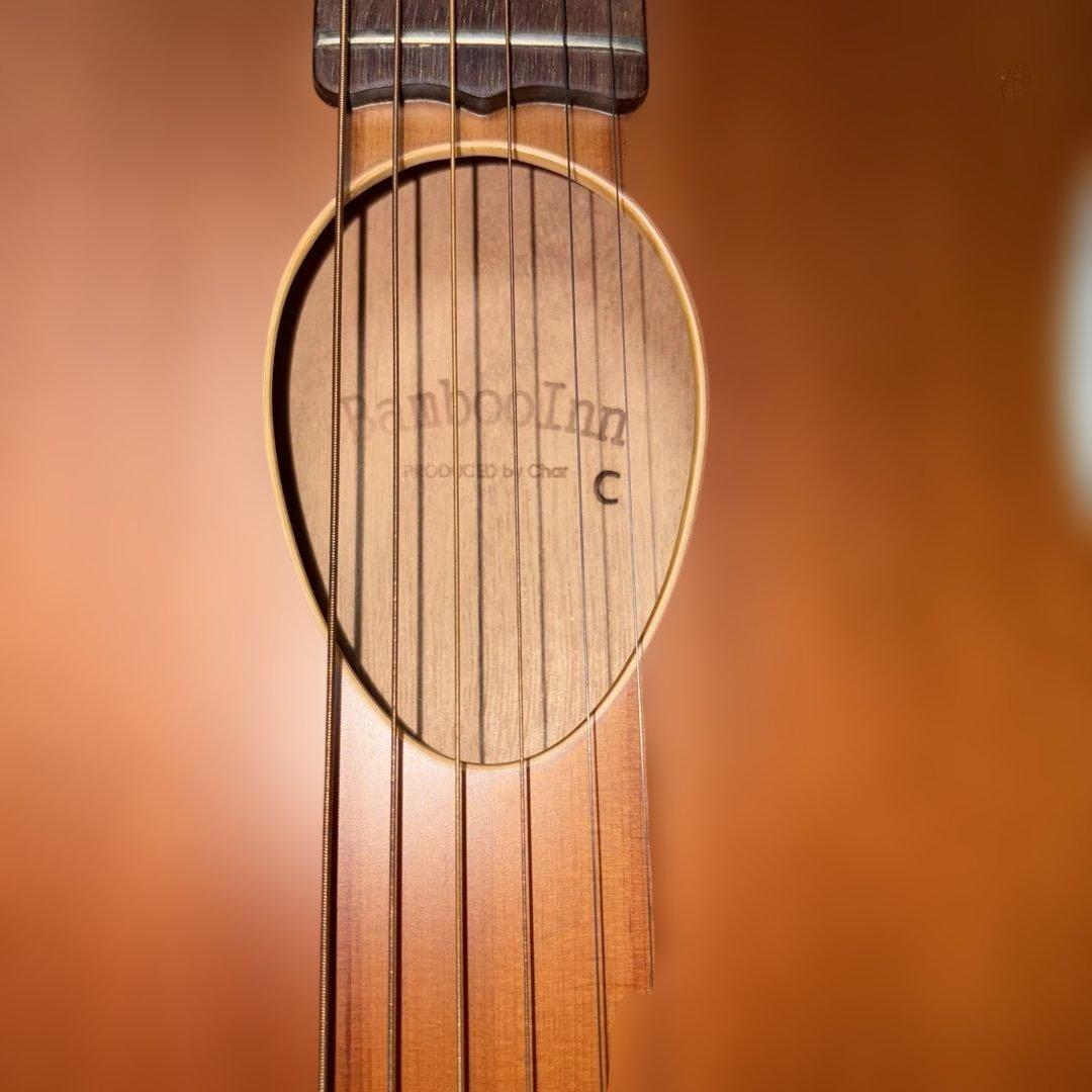 ESP Bambooinn-C アコースティックミニギター