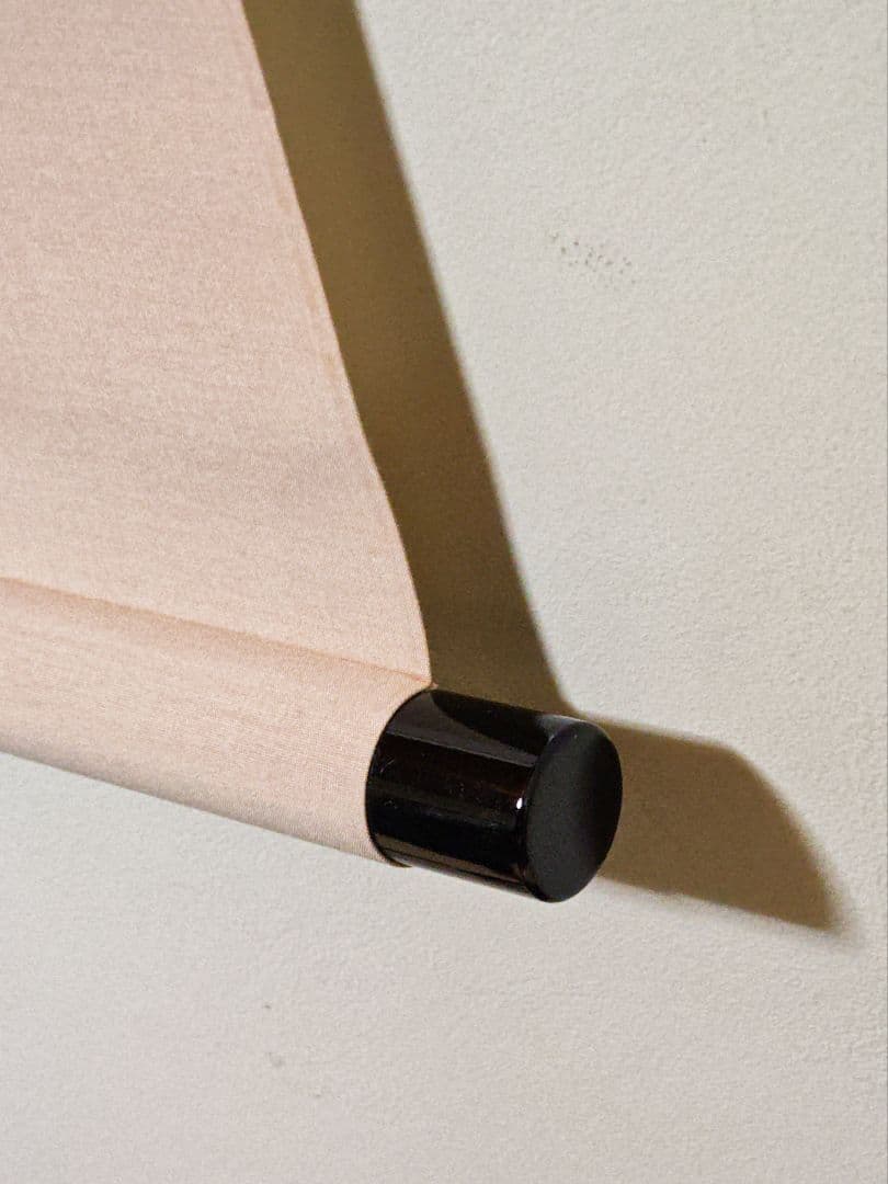 御茶子 大徳寺派吉祥寺 【辻常閑賛・吾心画】『春来草自生ツクシ 画賛』