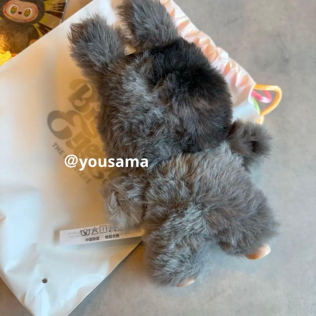 新品　labubu into Energy シークレット　ID